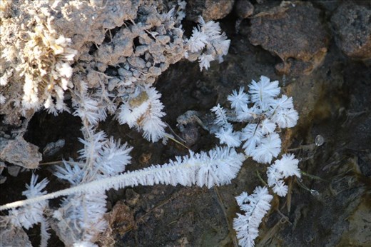 Frost at the Baños Termales