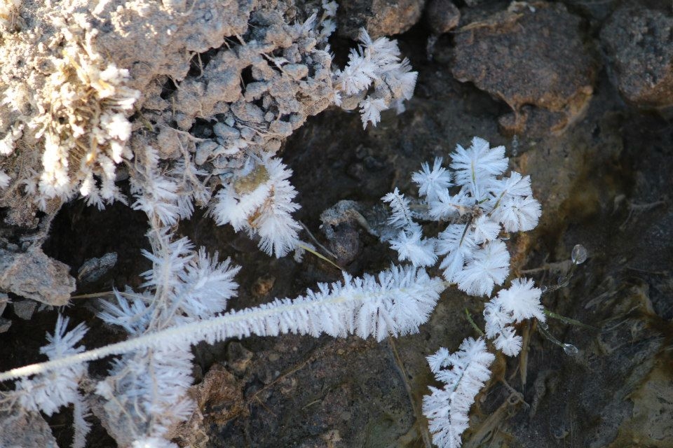 Frost at the Baños Termales