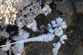 Frost at the Baños Termales: by amazonande, Views[358]