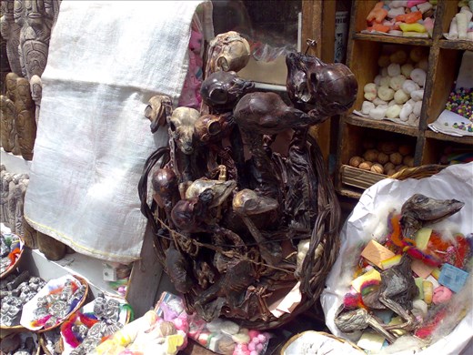 In Search of Spells but finding Llama Foetuses in the 'Witches Market', La Paz