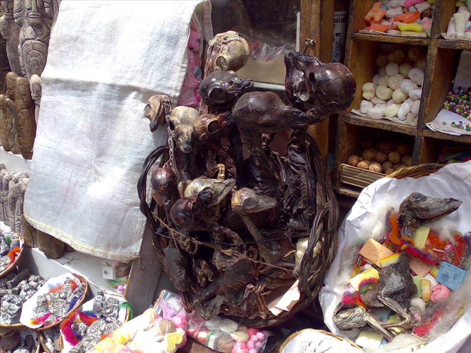 In Search of Spells but finding Llama Foetuses in the 'Witches Market', La Paz