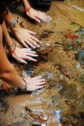 Our Awakening : by amberblue, Views[448]