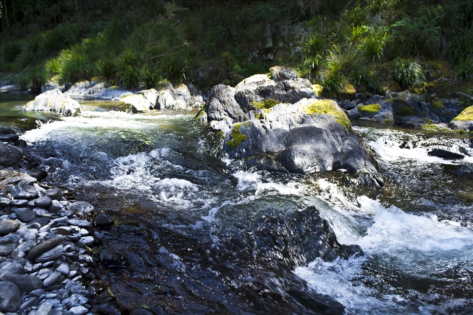 The End: Rapids crash into feracious streams. Foliage regulates elements here