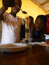 Amazement and eagerness to learn - the best forms of motivation to a teacher.: by ambitionlane, Views[228]