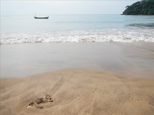 Aesthetics of ugliness, contrast of emotions.