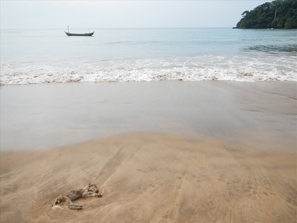 Aesthetics of ugliness, contrast of emotions.