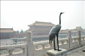 The crane: by amcommins, Views[415]