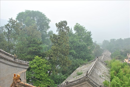 View down the hillside