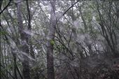 Arachnophobia: by amcommins, Views[428]