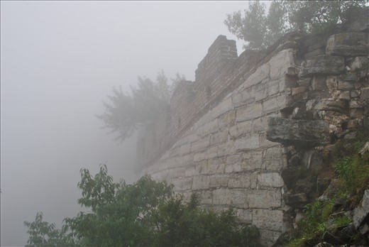 Wild Wall in the mist