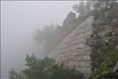 Wild Wall in the mist: by amcommins, Views[358]