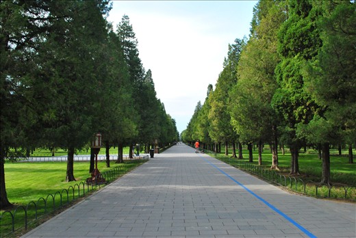 Tiantan Park after the storm