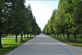 Tiantan Park after the storm: by amcommins, Views[722]