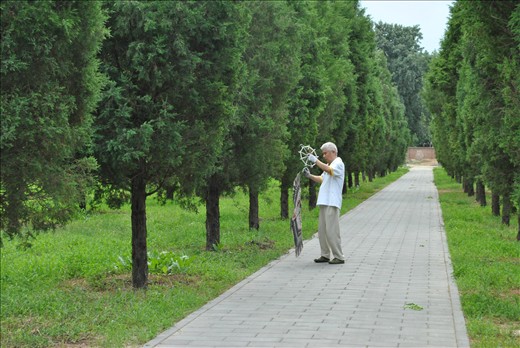 Old guy messing with his kite