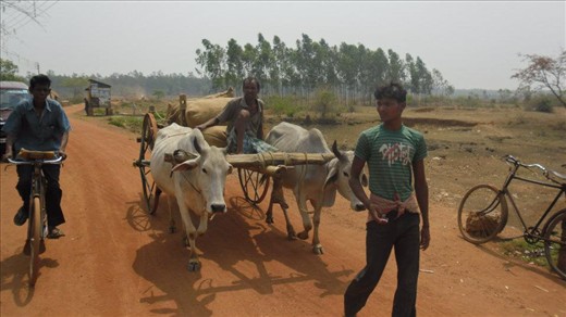 Most popular form of transportation in the villages