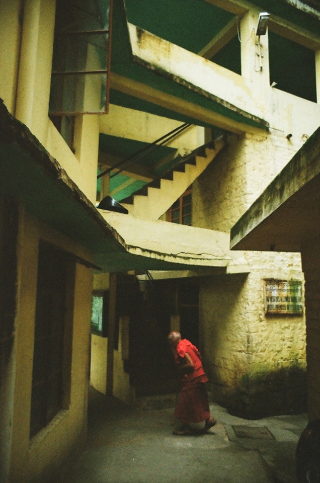 Monk in Dharmasala