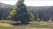 Uldag - Bursa - Turkey: by ammarhammad, Views[276]