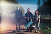 Meet new friends on the road near Vitebsk, Belarus. May, 2014: by amnicat, Views[272]