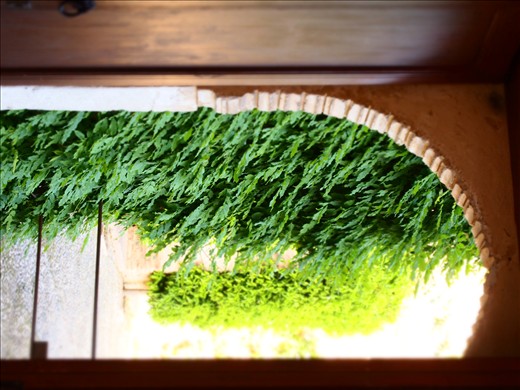 The Outpouring .  ( Spanish Granada ) . 