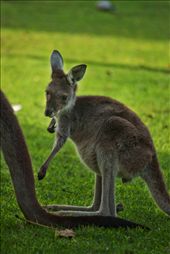 by amrsaid, Views[193]