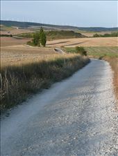 Outside Pamplona: by amyjane, Views[119]