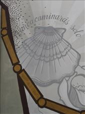 scallop: by amyjane, Views[129]