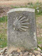 marker: by amyjane, Views[117]