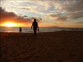 maui beach: by amyjane, Views[103]