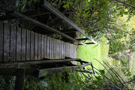 The bridge to adventure