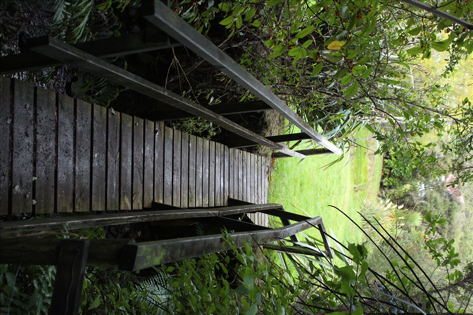 The bridge to adventure