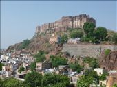 The fort in Jodphur.: by amytaylor, Views[240]