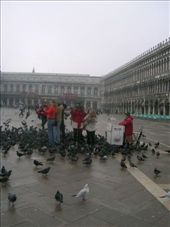 feeding pigeons in san marco square: by anabobana, Views[385]