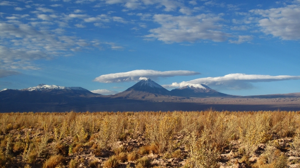 My journey started in the desert. Everything is so dry over there. And so overwhealming as well.