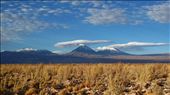 My journey started in the desert. Everything is so dry over there. And so overwhealming as well.: by anago, Views[459]