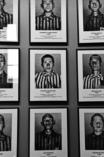 The portraits of war

Local: Poland, Auswitch 19-05-2012