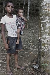 Boy tapping a rubber tree whilst carrying his little sister.: by anana, Views[290]
