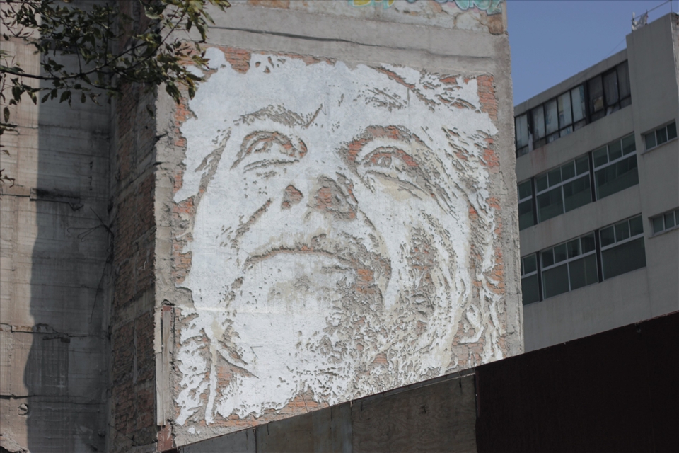 You can miss the beauty of the life if you never look up