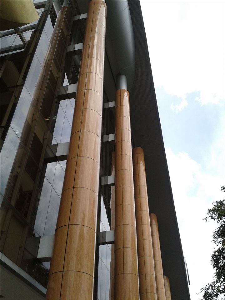 Since young, I have passion with books. I love reading books. In this picture, l