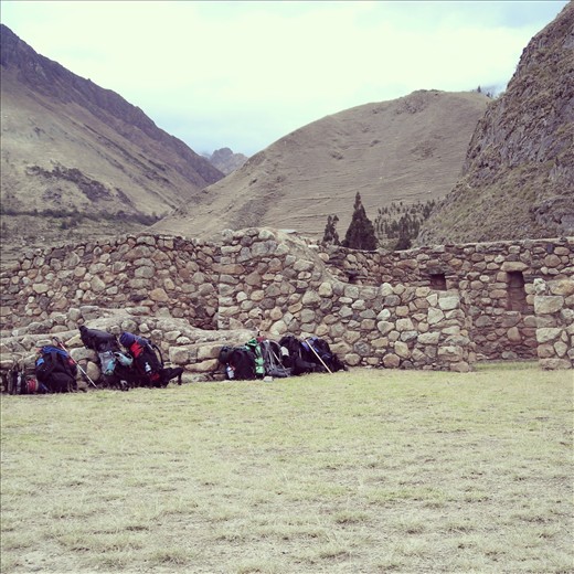 The backpacks having a rest