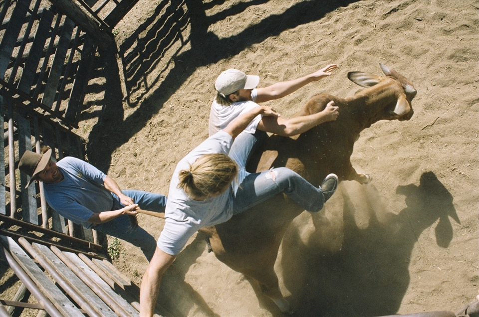 The Canadians try their luck at wrangling, scared but eager.  