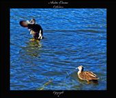 After you : by andie-c, Views[228]