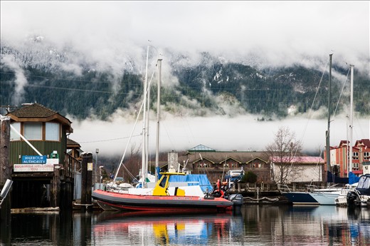 afternoon in the squamish marine
