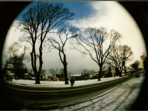 Rarely snows in Dunedin, but when it does it's a beautiful snow globe (Holga)