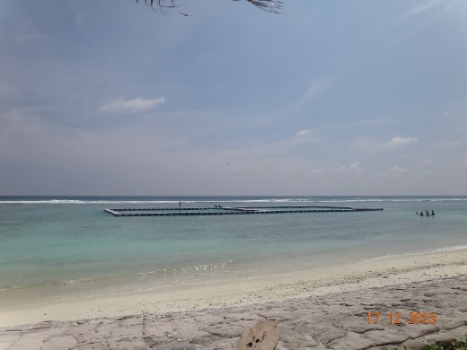 Pier na praia pública