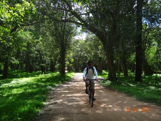 Pedalando da Cidade Sagrada em Anuradhapura