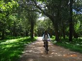 Pedalando da Cidade Sagrada em Anuradhapura: by andreamxavier, Views[334]