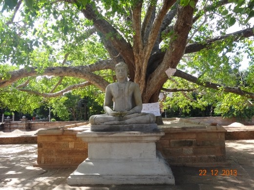 Imagem Budha embaixo de uma Bodhi Tree, quando ele se iluminou.