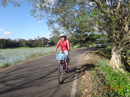 Isso é que é vida!