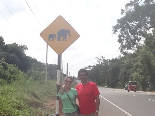 Cuidado com elefantes na pista!