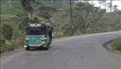 Adam's Peak Express tuk tuk: by andreamxavier, Views[352]